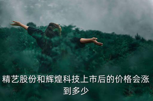 精藝股份是什么公司，精藝股份董事長(zhǎng)是誰(shuí)