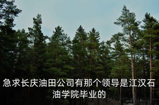 長(zhǎng)慶楊克文什么職位，長(zhǎng)慶石油勘探局人事變動(dòng)