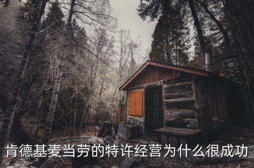 麥當(dāng)勞為什么個(gè)人特許經(jīng)營(yíng)，什么是特許經(jīng)營(yíng)麥當(dāng)勞的特許經(jīng)營(yíng)獲得巨大成功的奧妙何在給你什