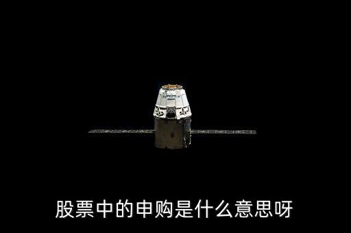 股票中的申購是什么意思呀