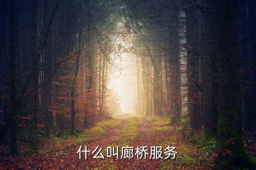 什么叫廊橋服務(wù)