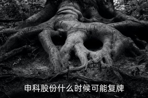 300097股什么時候復(fù)牌，申科股份什么時候可能復(fù)牌