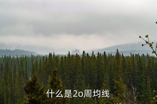 什么是20周均線，想問一下股票大盤20周均線是什么點位