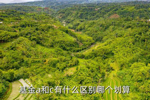 c基金是什么，什么叫VC基金