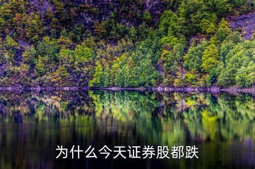 今天證券股為什么大跌，為什么今天證券股都跌
