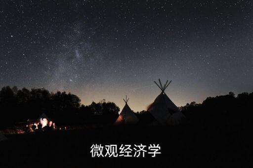 微觀經(jīng)濟學