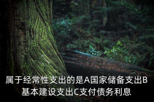 什么是經(jīng)常性支出，家庭經(jīng)常性支出是什么