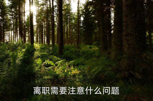 華北制藥辭職需要注意什么，辭職應(yīng)該注意些什么呢