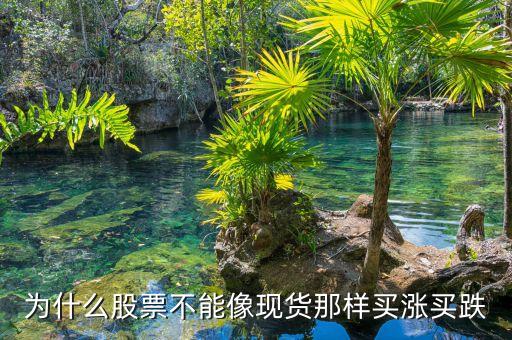 中國股市為什么不能買跌，股票不是可以先賣后買嗎這不是買跌嗎那為什么別人都說不能買