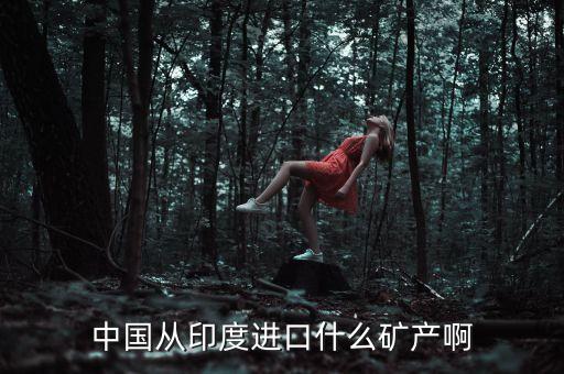 從印度進(jìn)口什么，中國從印度進(jìn)口什么礦產(chǎn)啊