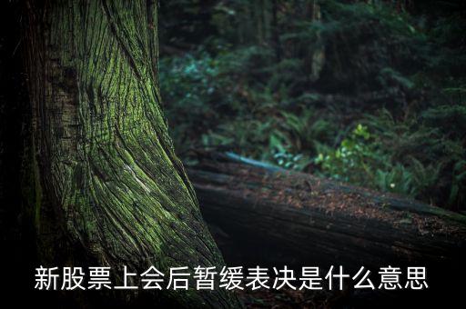 新股票上會(huì)后暫緩表決是什么意思