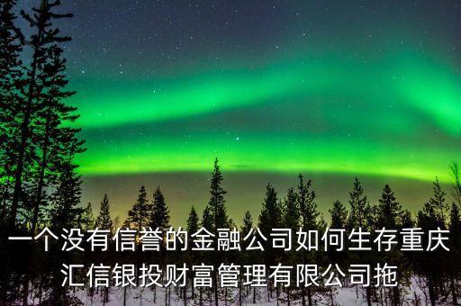 一個(gè)沒有信譽(yù)的金融公司如何生存重慶匯信銀投財(cái)富管理有限公司拖