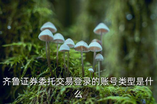 齊魯證券委托交易登錄的賬號類型是什么