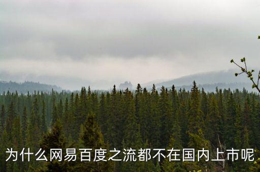 為什么百度不在中國上市，百度為什么沒有在中國上市