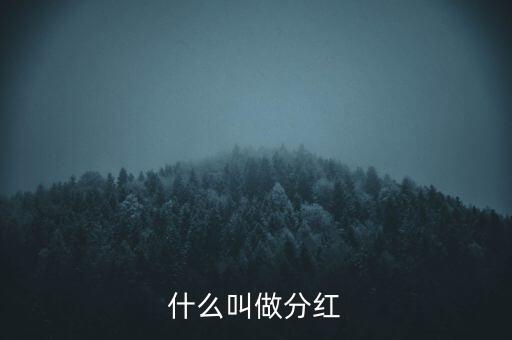 什么是分紅，什么叫做分紅