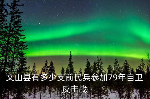 1979年蛇口奠基典禮有什么人參加，文山縣有多少支前民兵參加79年自衛(wèi)反擊戰(zhàn)