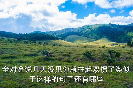 全對金說幾天沒見你就拄起雙拐了類似于這樣的句子還有哪些