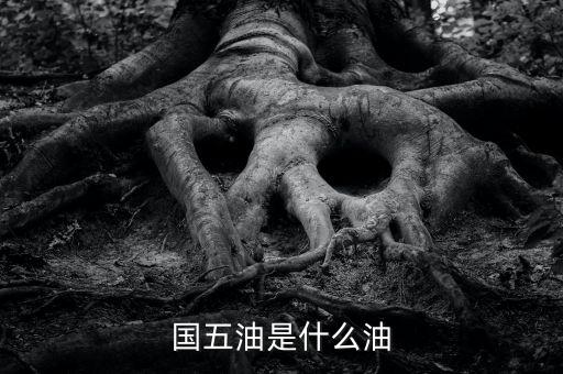國(guó)五油是什么油