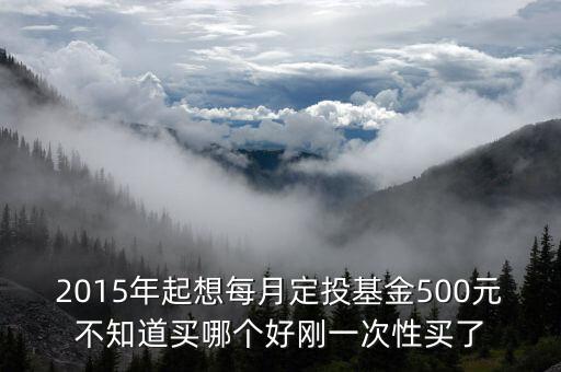 2015年基金定投買什么比較好，2015年起想每月定投基金500元不知道買哪個(gè)好剛一次性買了