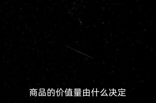 商品的價(jià)值量由什么決定
