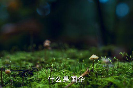 什么是國企