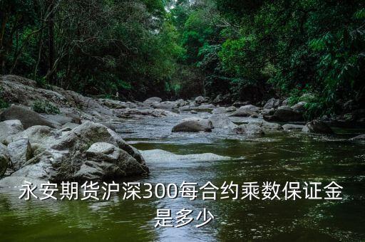 合約乘數是什么，永安期貨滬深300每合約乘數保證金 是多少