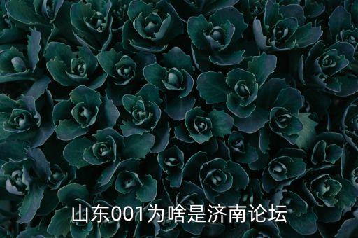 社區(qū)001為什么，社區(qū)001是什么