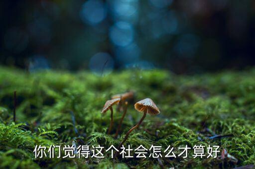 你們覺(jué)得這個(gè)社會(huì)怎么才算好