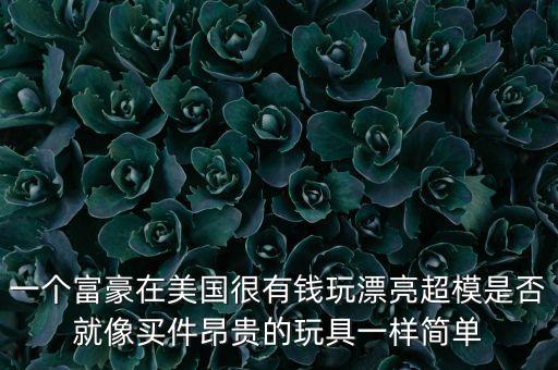 世界富豪一般玩什么，富翁有什么新玩具