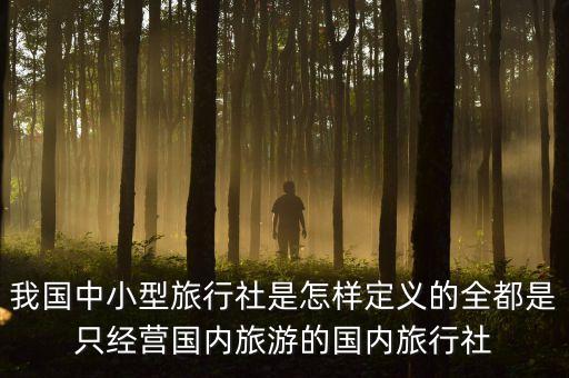 什么是中小型旅行社，為什么要對(duì)中小型旅行社進(jìn)行研究