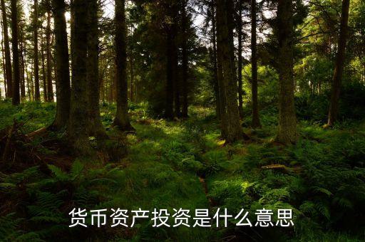 貨幣投資是什么，貨幣投資的概念和管理