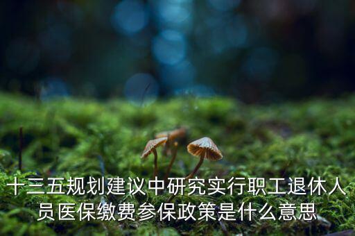 十三五規(guī)劃建議中研究實行職工退休人員醫(yī)保繳費參保政策是什么意思