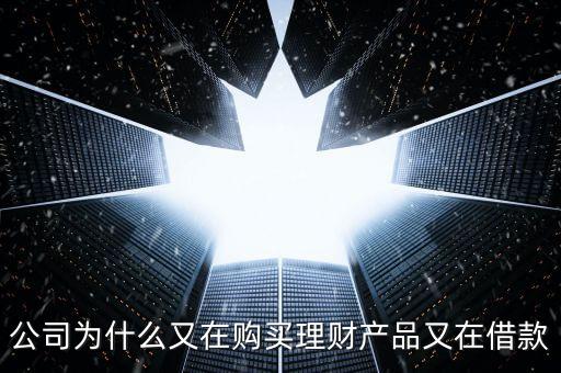 公司為什么又在購買理財產品又在借款