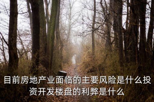目前房地產(chǎn)業(yè)面臨的主要風(fēng)險(xiǎn)是什么投資開發(fā)樓盤的利弊是什么
