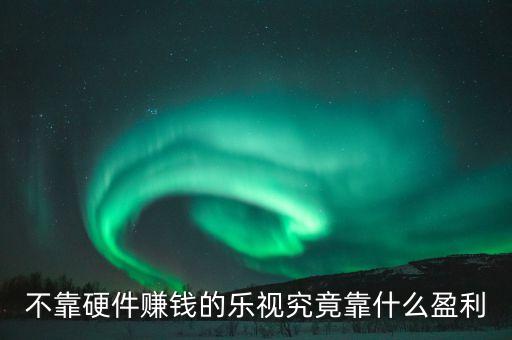 樂視靠什么賺錢，樂視體驗(yàn)店靠什么掙錢