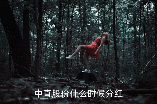 中直股份公司是做什么的，中直股份什么時(shí)候分紅
