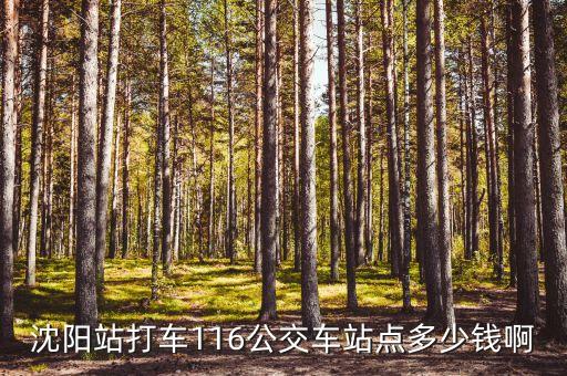沈陽站打車116公交車站點(diǎn)多少錢啊