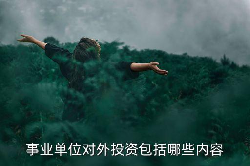 事業(yè)單位對外投資包括哪些內容