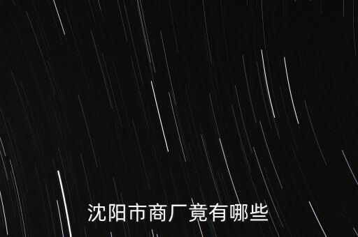 沈陽商業(yè)城生產(chǎn)經(jīng)營什么，遼寧沈陽的工廠都生產(chǎn)什么
