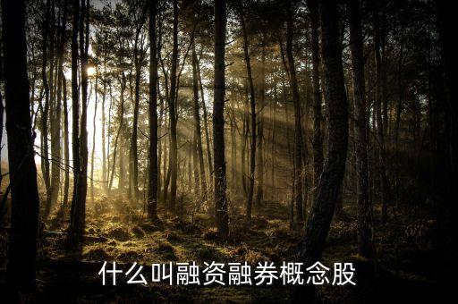 融資融券標(biāo)的股是什么意思，通俗的講什么叫融資融券標(biāo)的股票
