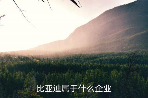 比亞迪屬于什么企業(yè)，比亞迪在中國算是什么企業(yè)