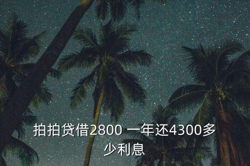 什么是拍拍貸，拍拍貸借2800 一年還4300多少利息
