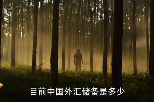 我國外匯儲(chǔ)備包括什么，我國外匯儲(chǔ)備