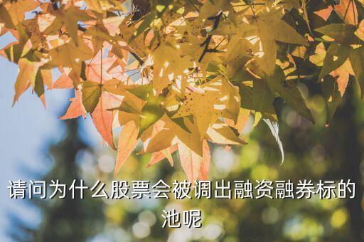 請問為什么股票會被調(diào)出融資融券標的池呢