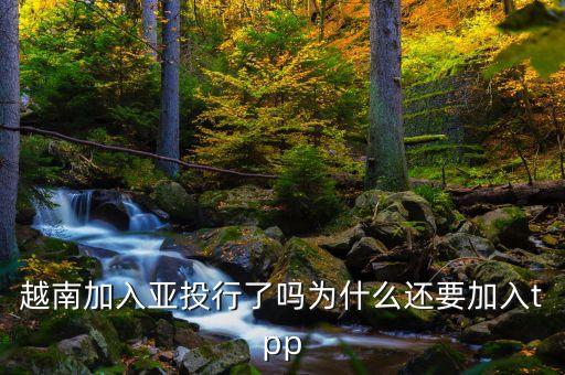 tpp為什么越南可以，TPP是代表什么經(jīng)濟(jì)組織 請(qǐng)高手解答