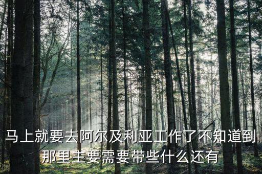 在阿爾及爾可以買什么，回國買啥阿爾及利亞