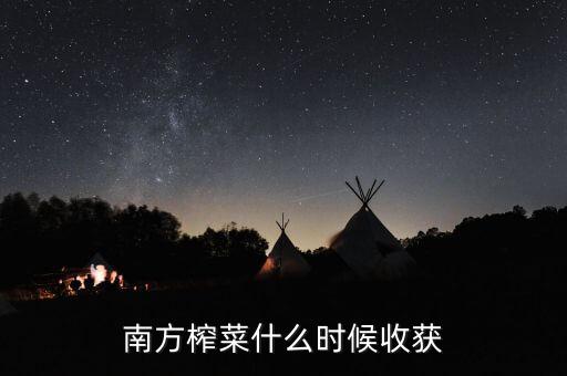 南方榨菜什么時候收獲