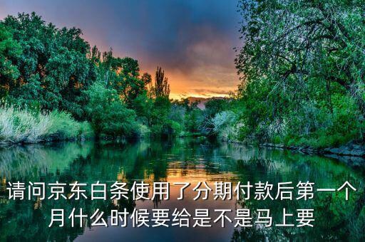白條第一期是什么時(shí)候給，請(qǐng)問京東白條使用了分期付款后第一個(gè)月什么時(shí)候要給是不是馬上要