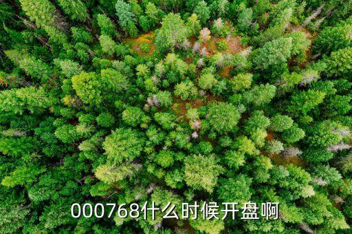 南方軸承什么時候開盤，000768什么時候開盤啊
