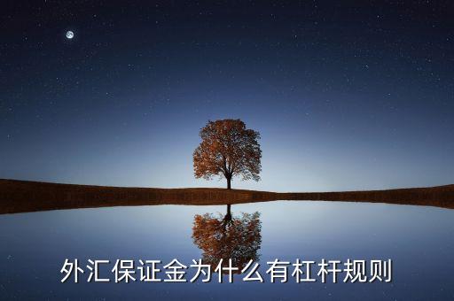 擔保杠桿是什么意思，外匯保證金為什么有杠桿規(guī)則